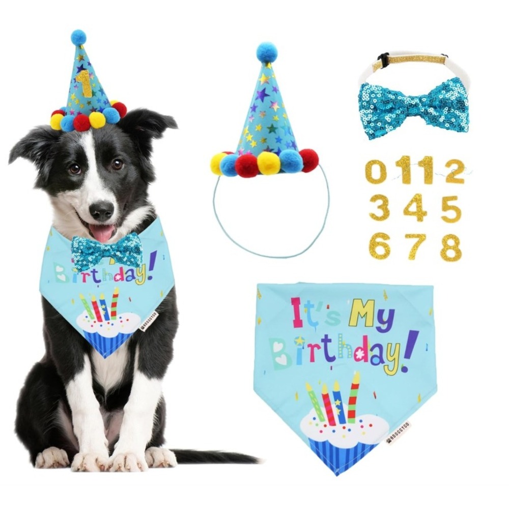 TCBOYING Dog Birthday Set Sz OS 11-Pc Blue Hat Bandana Bow Tie Party Supplies